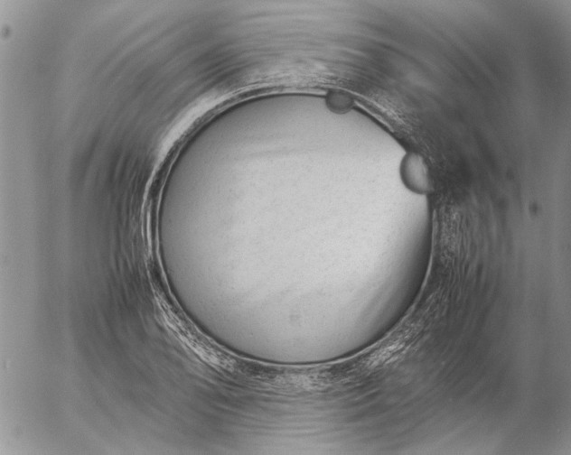 X0000057081078200509231618