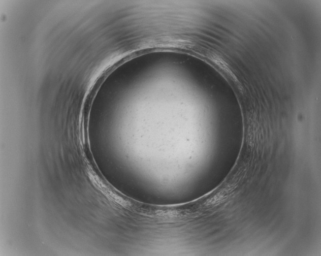 X0000057081080200509231618