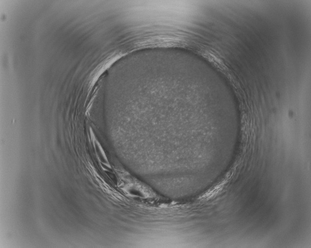 X0000057081081200509231618