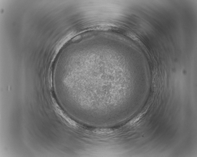 X0000057081083200509231618