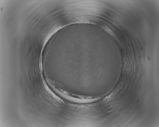 X0000057081084200509231617