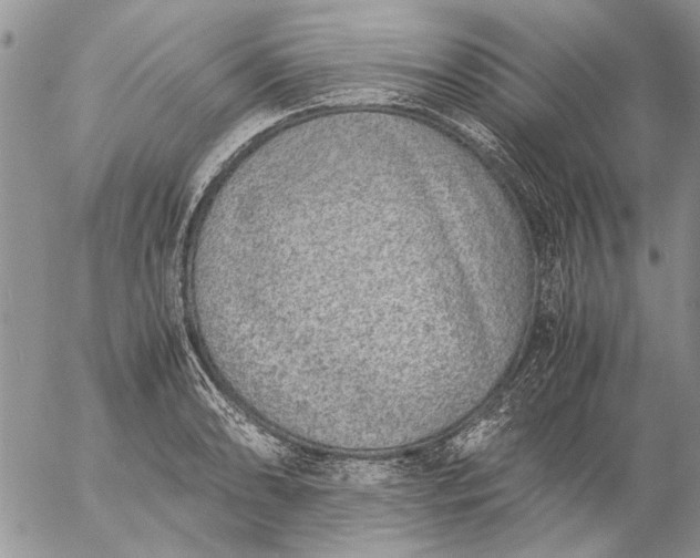 X0000057081086200509231617