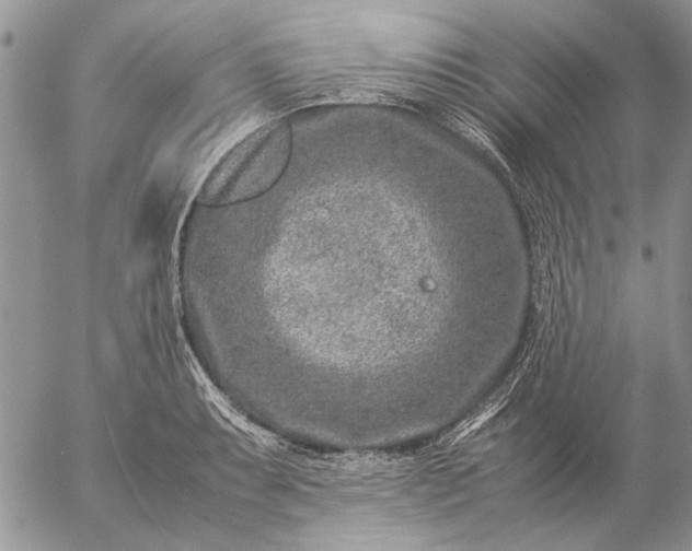 X0000057081087200509231617