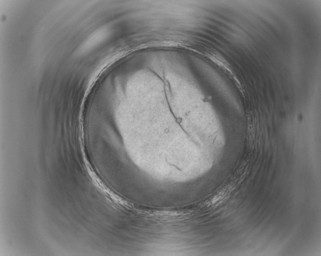 X0000057081088200509231617