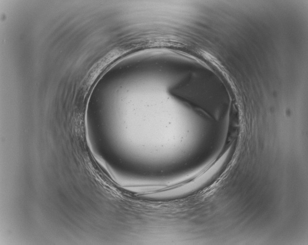 X0000057081089200509231617