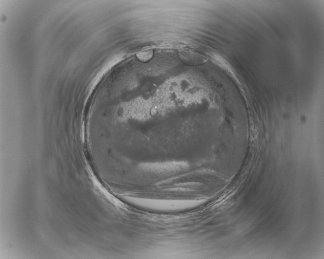 X0000057081095200509231617