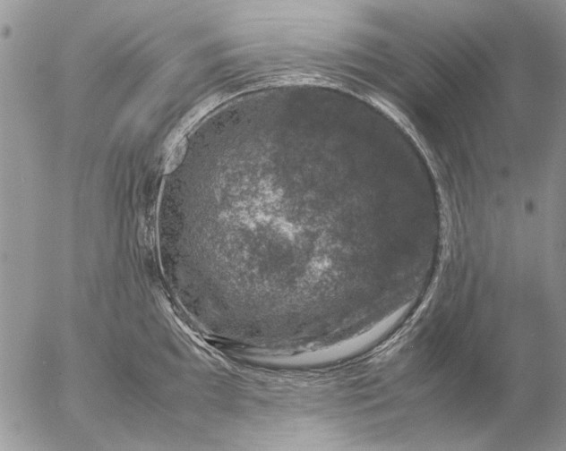 X0000057081097200509231617