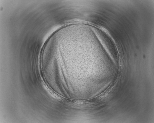 X0000057081098200509231617