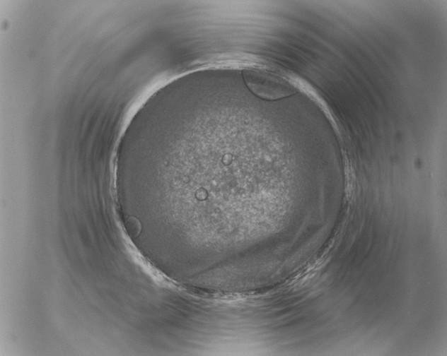 X0000057081099200509231617