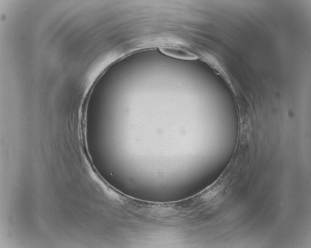 X0000057081103200509231617