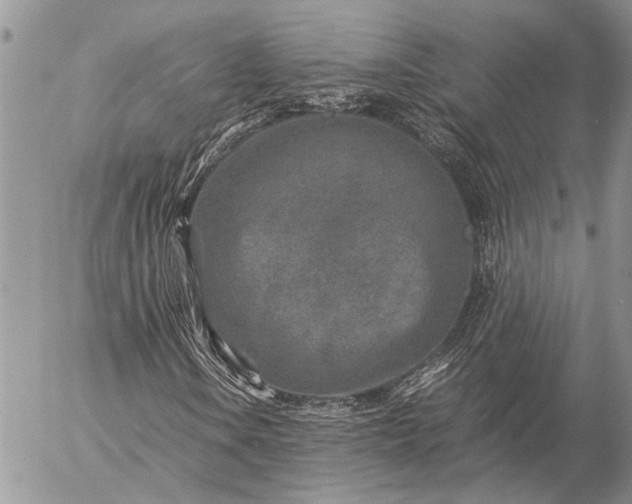 X0000057081106200509231616