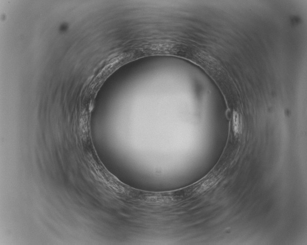 X0000057081107200509231616