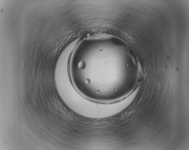 X0000057081108200509231616