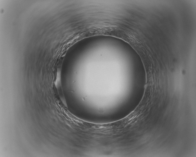 X0000057081109200509231616