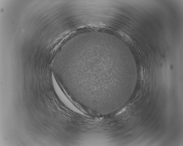 X0000057081110200509231616