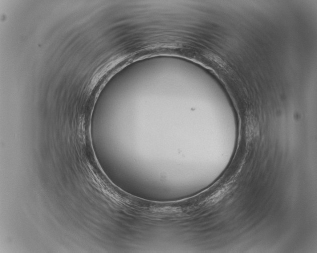 X0000057081113200509231616