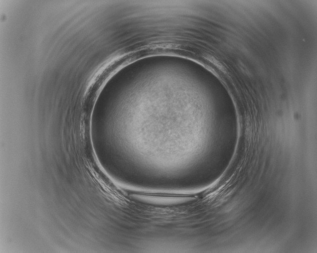 X0000057081115200509231617