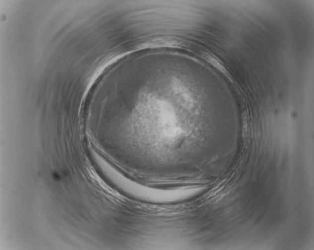 X0000057081116200509231617