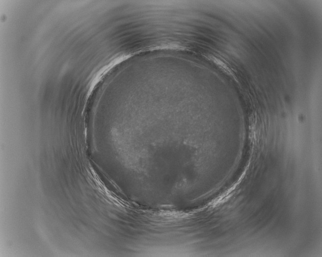 X0000057081117200509231617