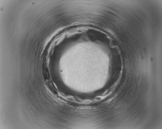 X0000057081118200509231617