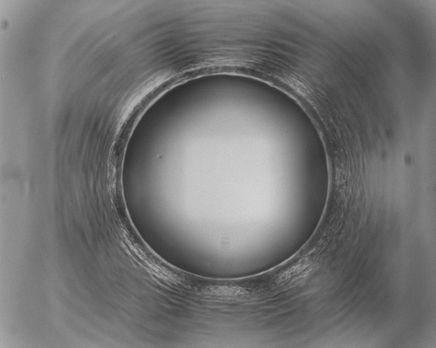 X0000057081119200509231617