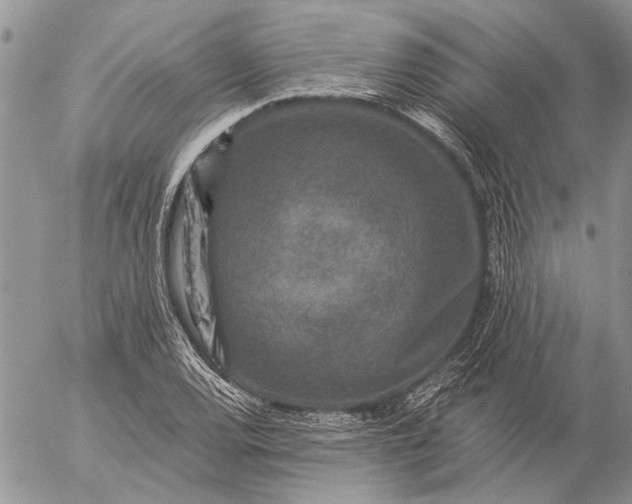 X0000057081120200509231617