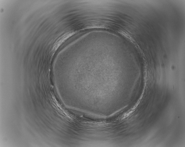 X0000057081121200509231617