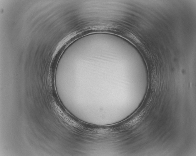 X0000057081122200509231617