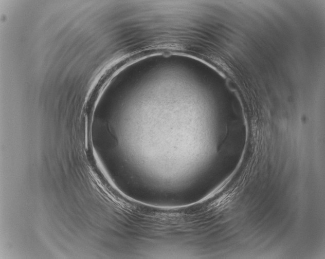 X0000057081123200509231617