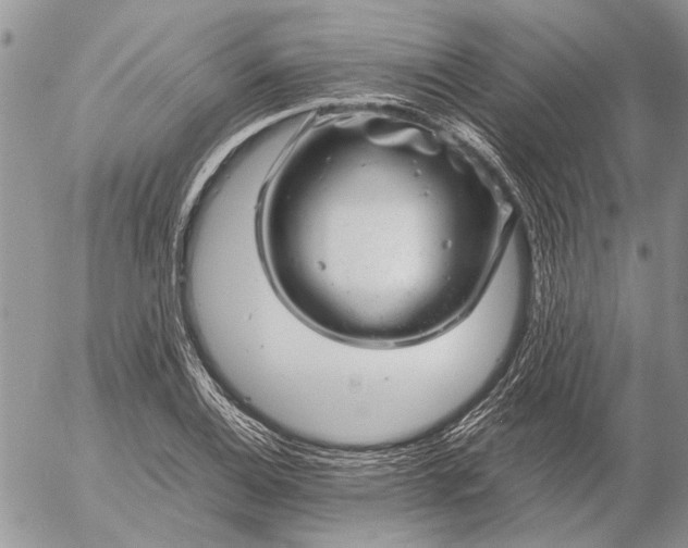 X0000057081124200509231617