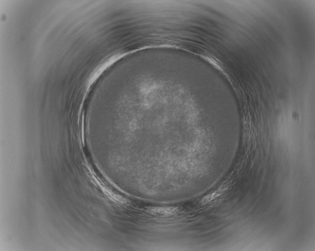 X0000057081127200509231617