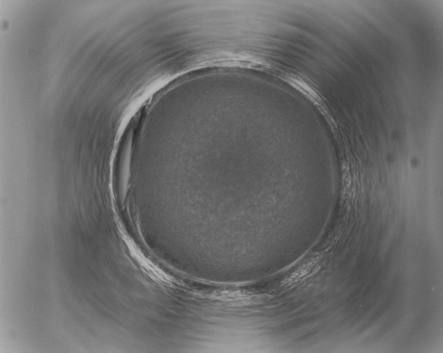 X0000057081128200509231617