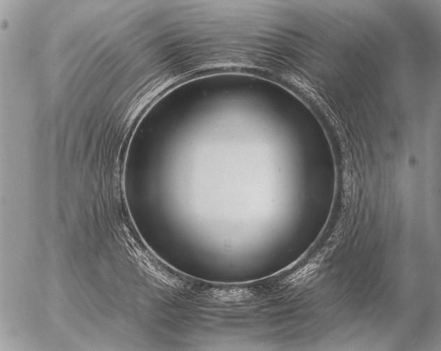 X0000057081129200509231617