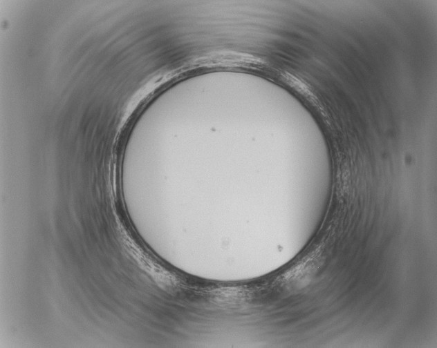 X0000057081130200509231617