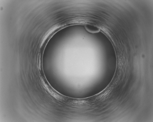 X0000057081131200509231617