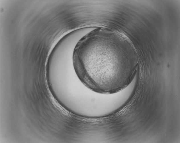 X0000057081132200509231617