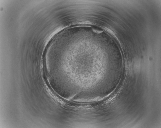 X0000057081133200509231617