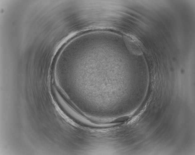 X0000057081134200509231617