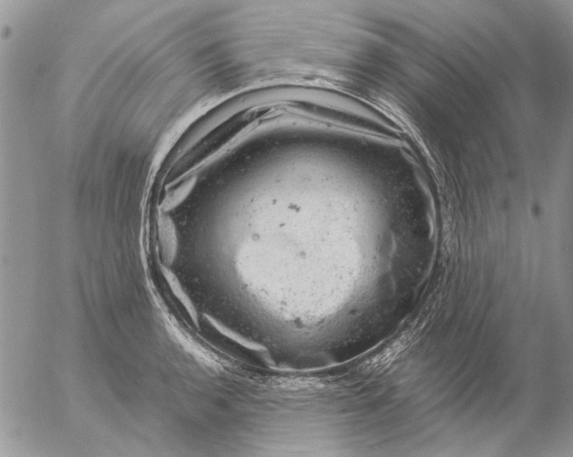 X0000057081136200509231617