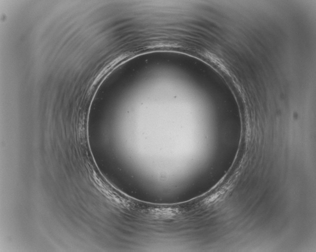 X0000057081137200509231617