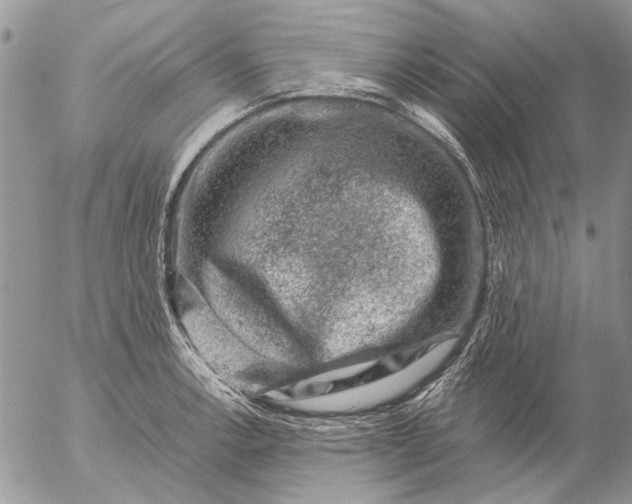 X0000057081138200509231617