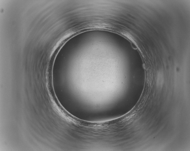 X0000057081139200509231617