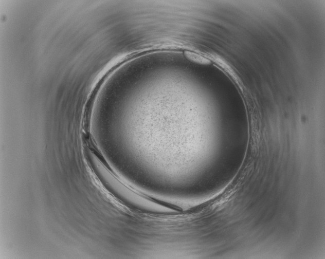 X0000057081142200509231617