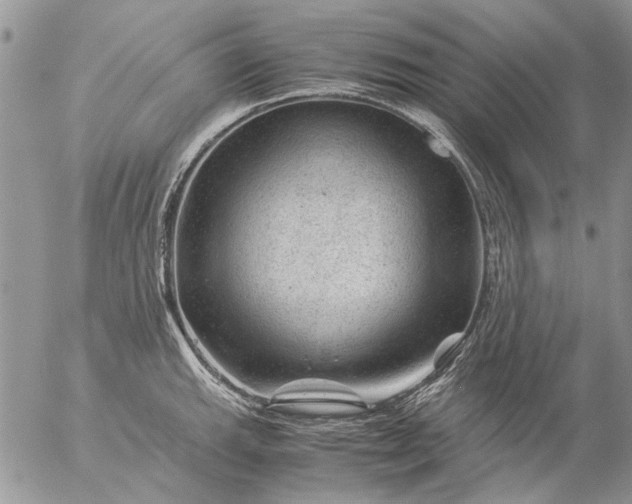 X0000057081143200509231617