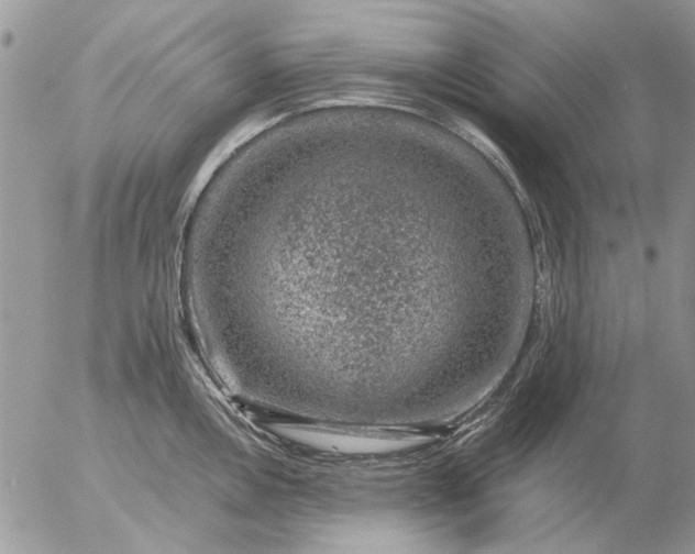 X0000057081146200509231617