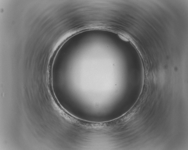 X0000057081147200509231617