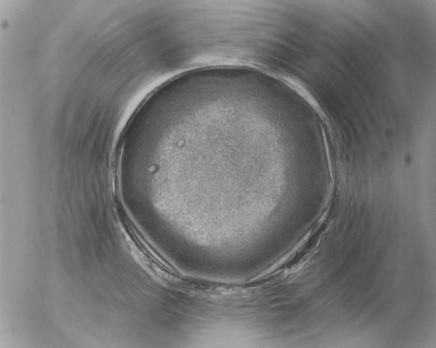 X0000057081148200509231617