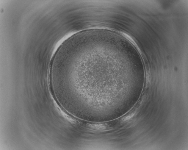 X0000057081149200509231617