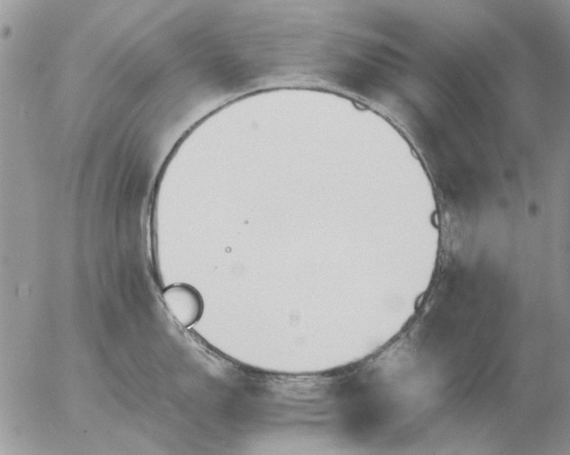 X0000057081150200509231617