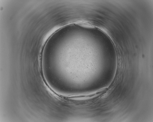 X0000057081151200509231617